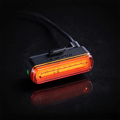 LUZ RAVEMEN TR30