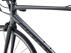 BICICLETA RUTA GIANT