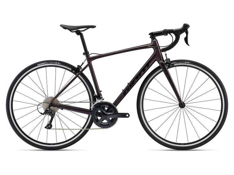 ■ ジャイアント　コンテンド SL Contend SL 1 (2026) | All-Rounder bike | Giant Bicycles Japan 日本
