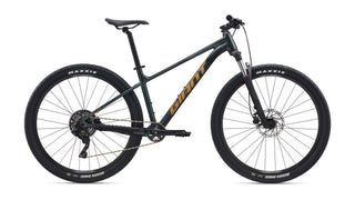 TALON 29 2