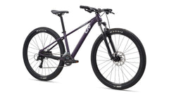 LIV TEMPT 29 3