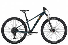 LIV  TEMPT 29 1