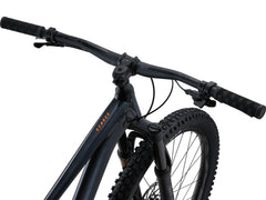 STANCE 29 1 2025