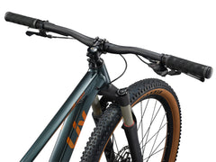 LIV TEMPT 0 ARO 29  PREVENTA